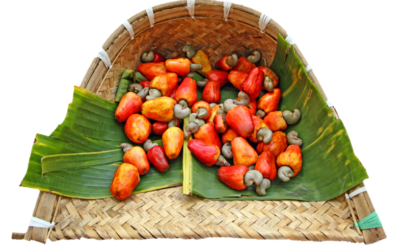 ශ්‍රී ලංකාවෙි කජු කර්මාන්තය